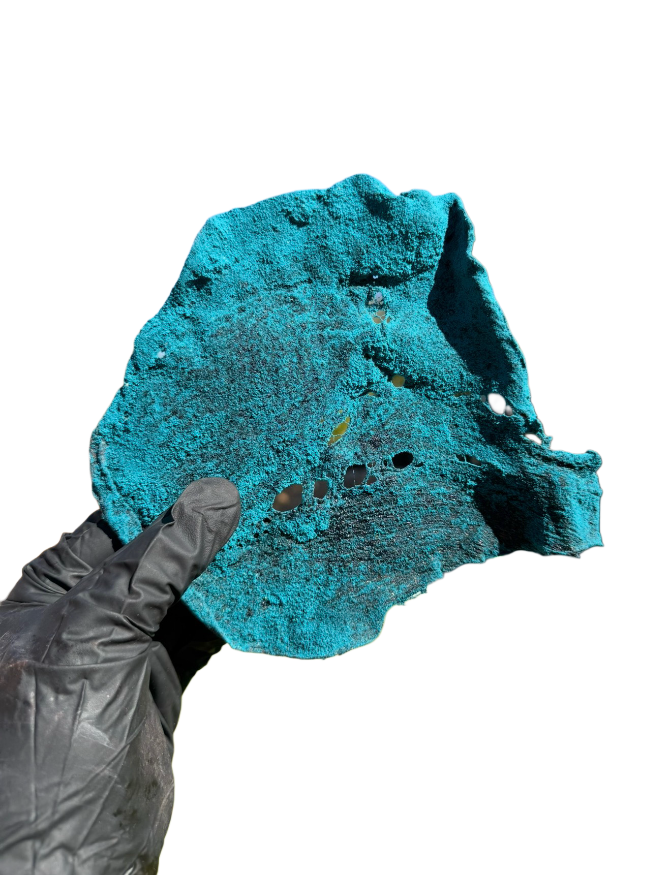 BLUE HEAT